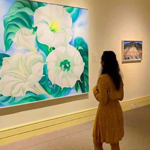 Suvarna Jangada in museum looking at art