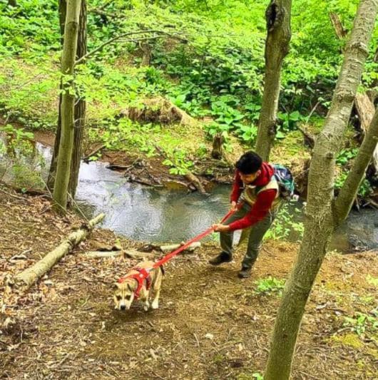 Justin Lugtu hiking with dog