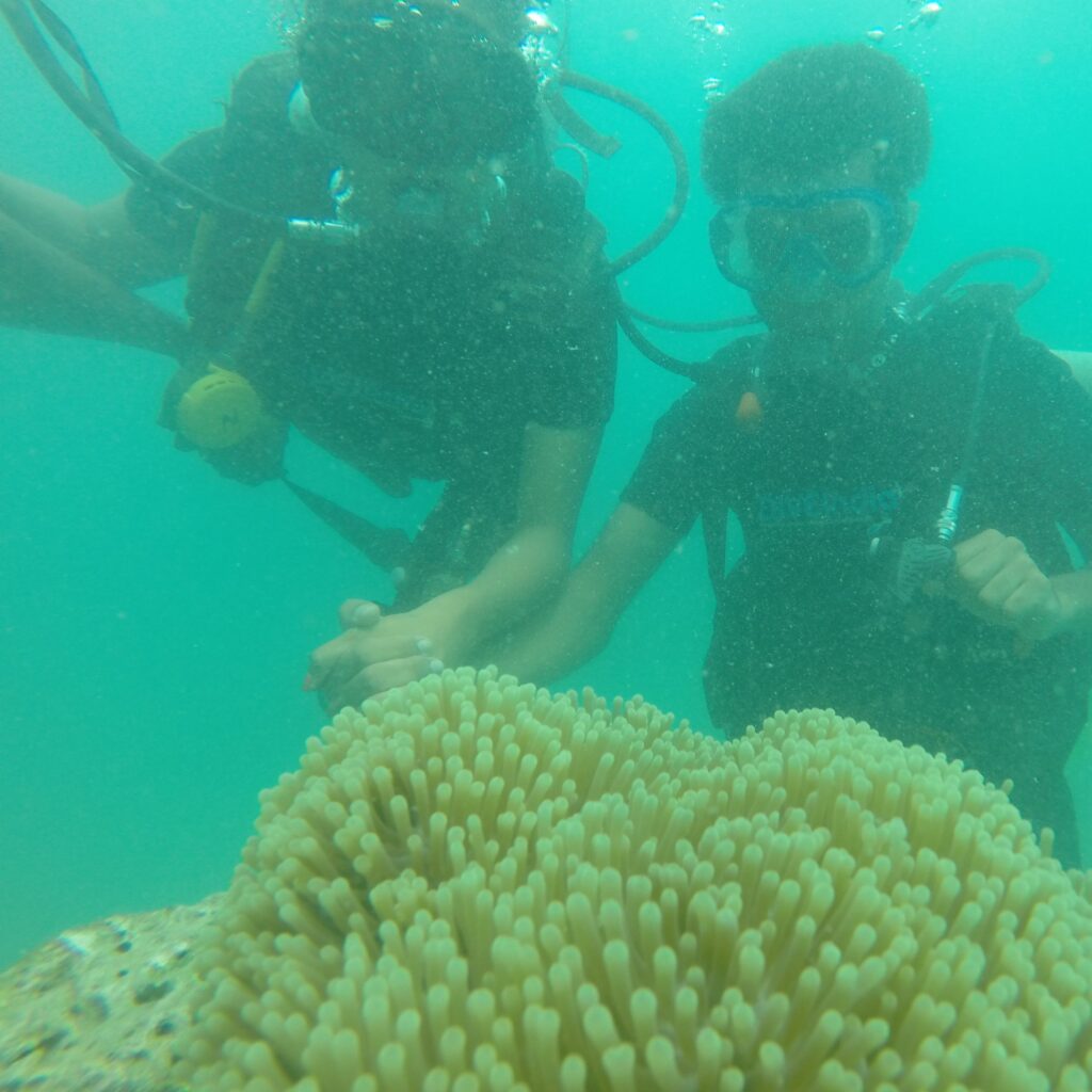 Saloni Chawala scuba diving