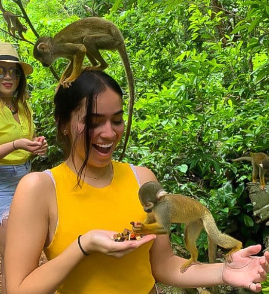 Michelle Sabogal with two monkeys. One on head one eating from her hands