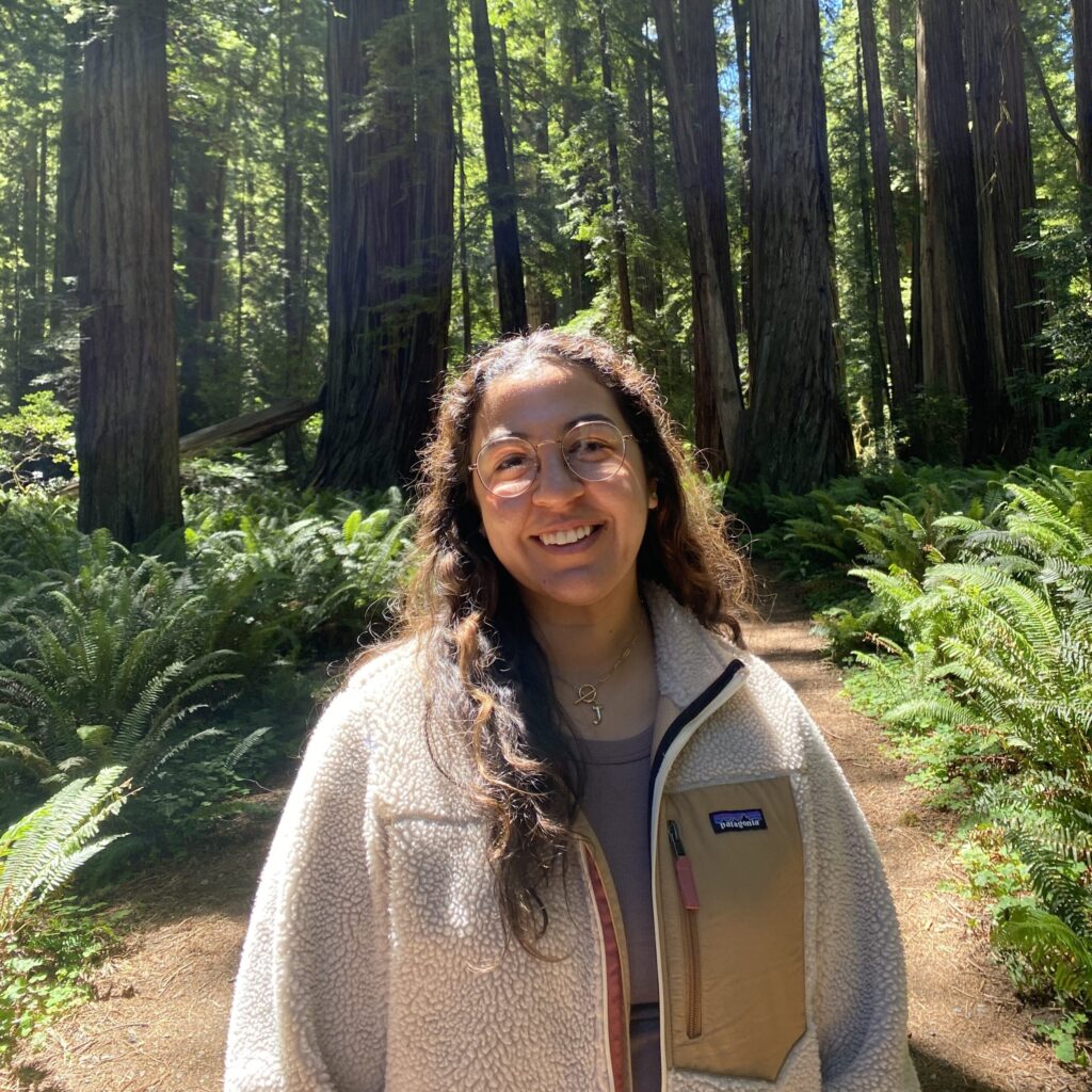 Julia Guzman in the redwoods