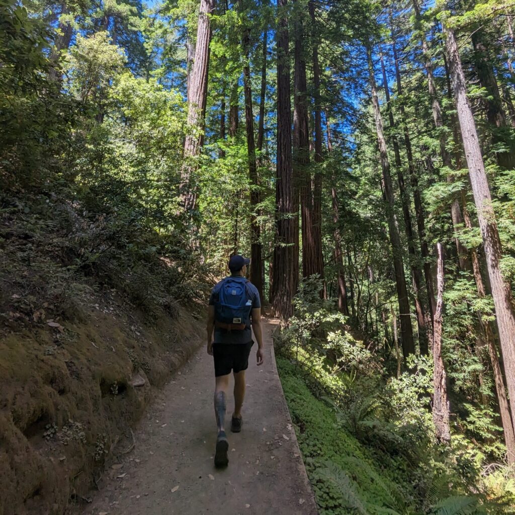 Nikhil Chatlani walking in the woods